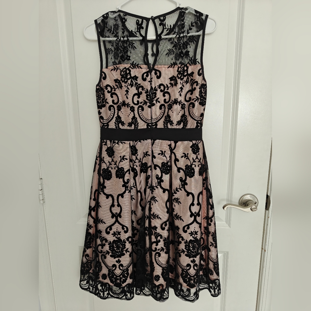 Roz & Ali Blush Pink and Black Sheer Dress Size 2 pretty evening look - Picture 2 of 7